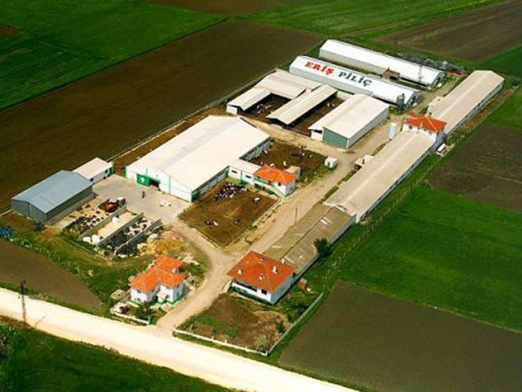 Eriş Yem