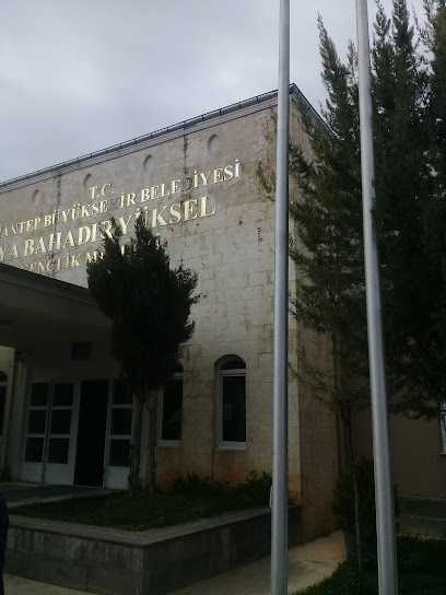 Oya Bahadır Yüksel Madde Bağımlısı Sokak Çocukları Rehabilitasyon Merkez