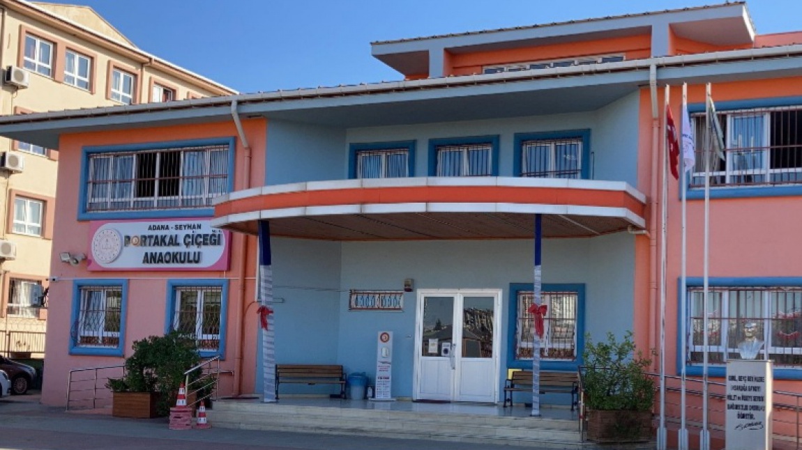 Portakal Çiçegi Anaokulu